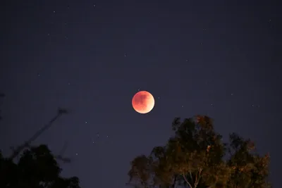 DSC_0914 (Large).JPG